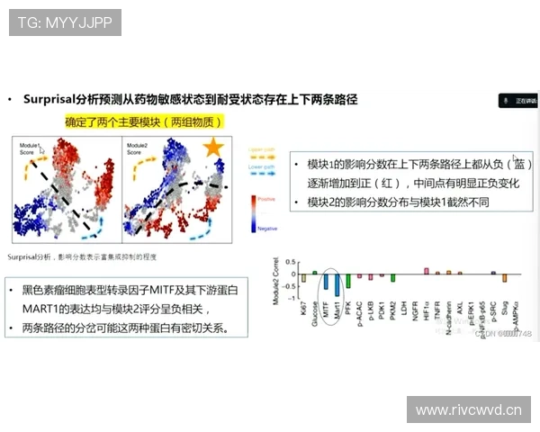F组冷门结果模拟分析 F组冷门结果模拟分析
